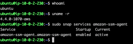 Using Aws Systems Manager Ssh Free Access To Ec2 Instances By Prabhu Barathi Medium