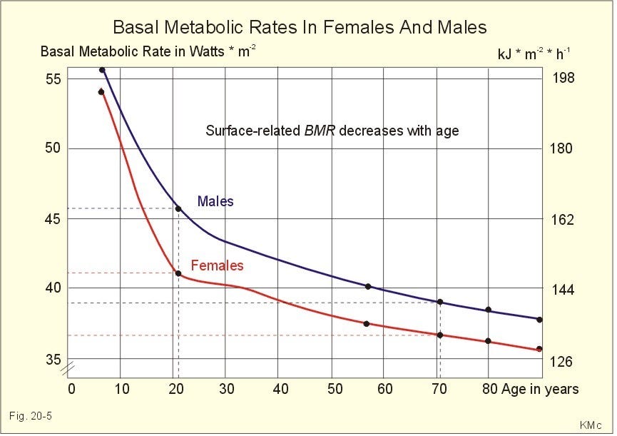 Metabolic Age Chart