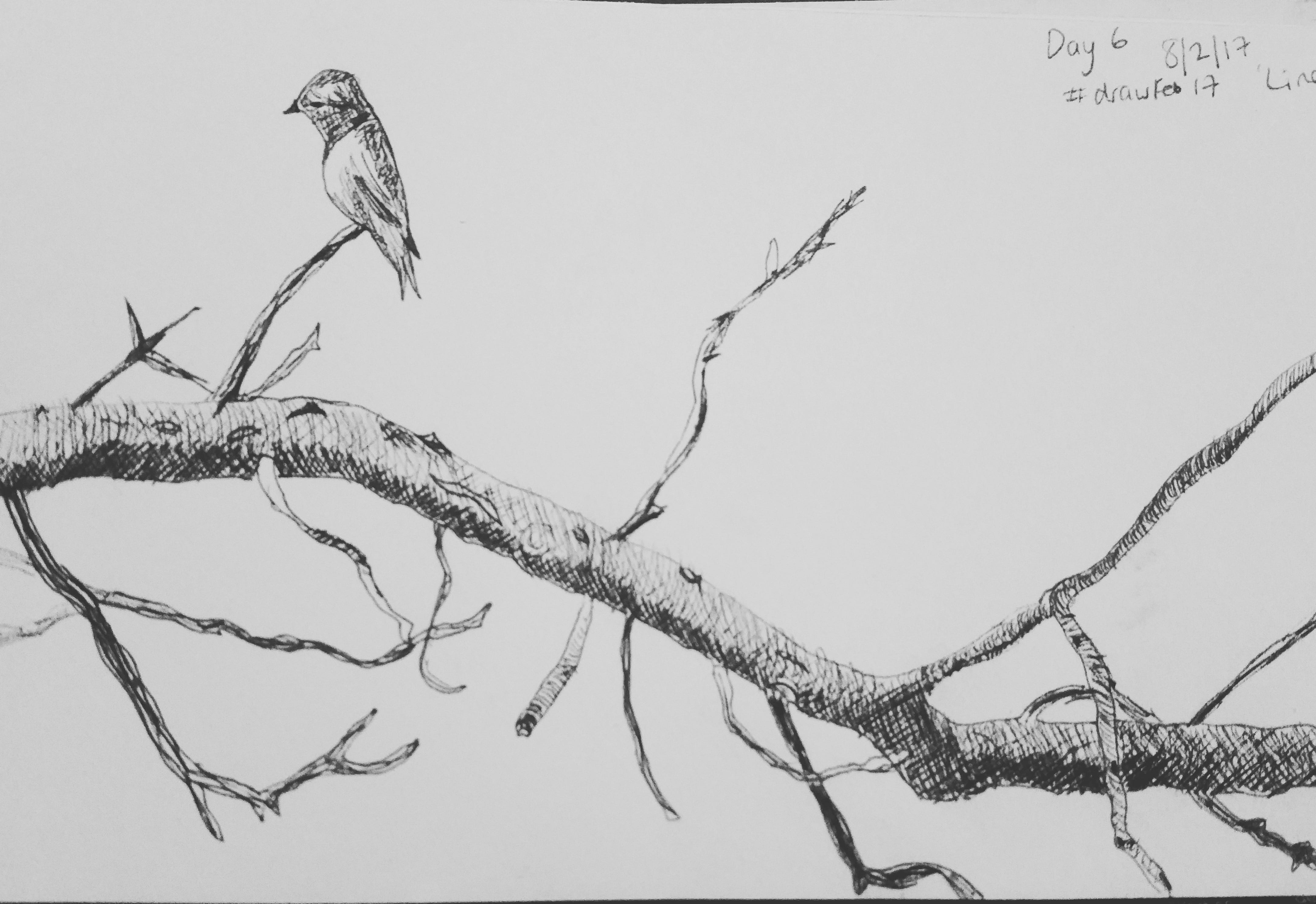 How Taking Part In A Drawing Challenge Can Help With Depression