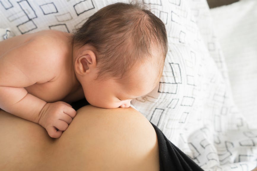 formula fed babies immune system