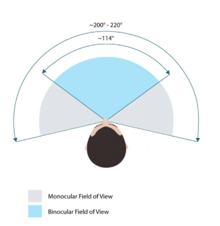 Dynamic Fov In Vr Why Those Blinders In Eagle Flight Are Your Best Friend By Rtp Virtual Reality Medium