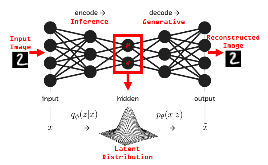 Introduction to Autoencoders. In today’s article, we are going to… | by ...