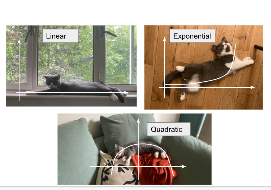 Linear, Exponential vs. Quadratic Functions What’s the difference