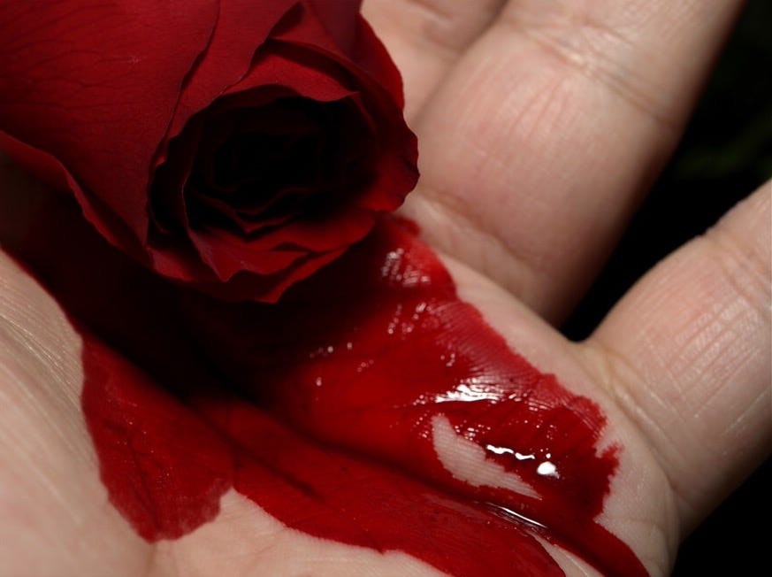 Bleed Like Roses. Bleed like the red roses I left you On… by Emily