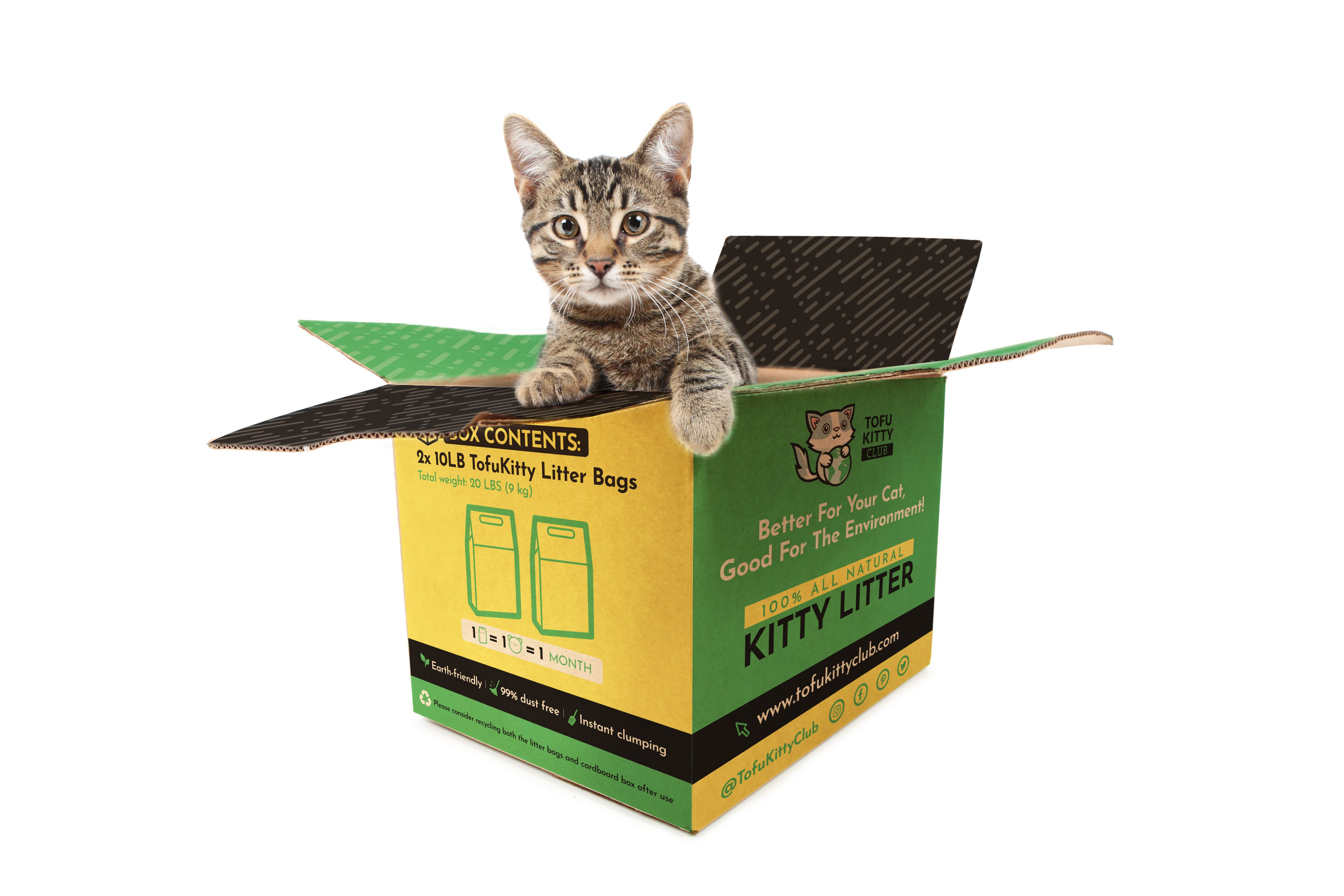 feline first cat litter house medium