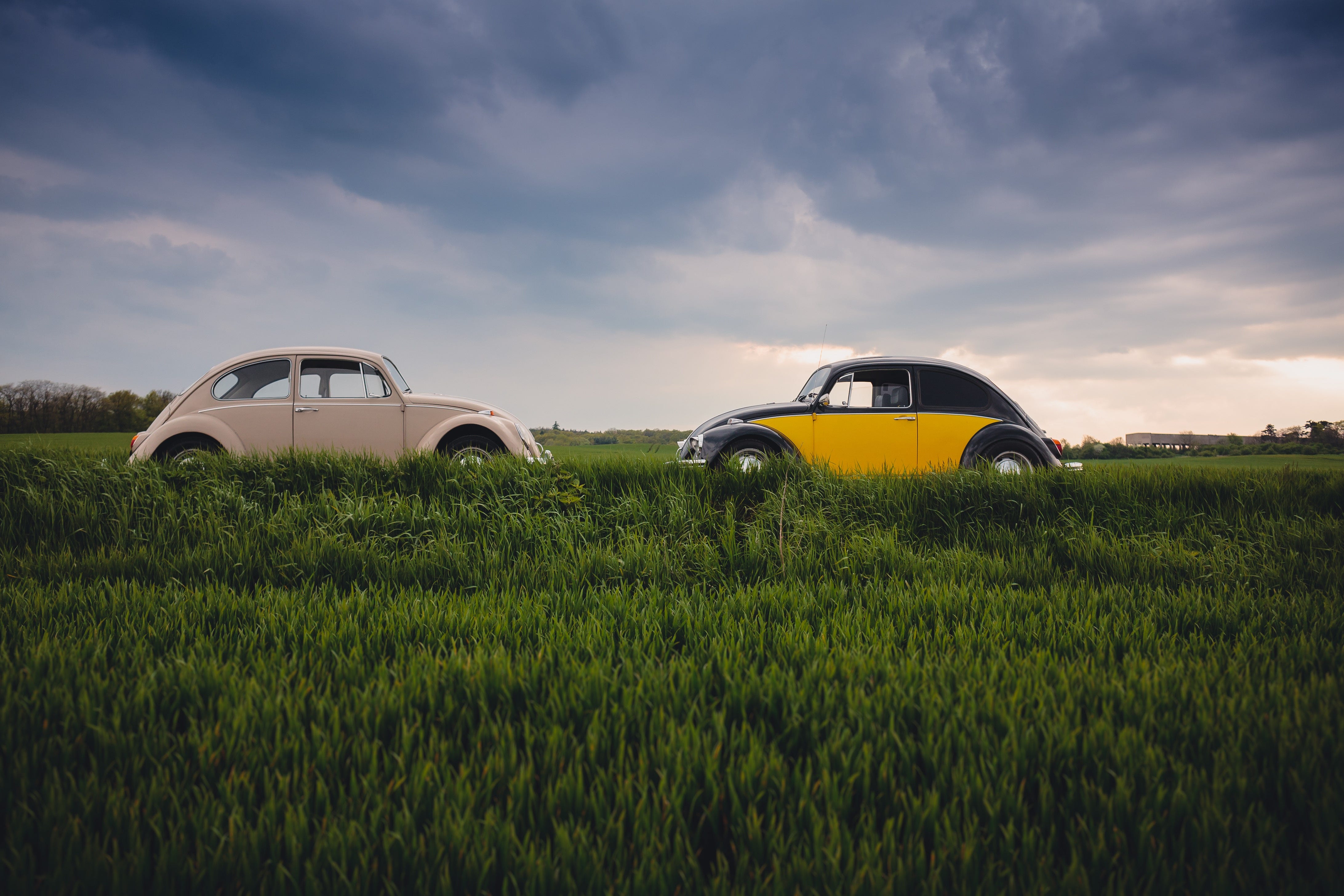 The Power Of Both How Mastering Competing Skills Will Set - 