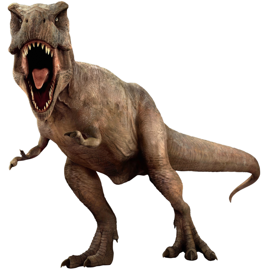 Terbaru 13 Gambar Dinosaurus  T Rex Asli Sugriwa Gambar 