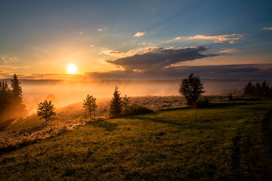 Image of the sun setting over a natural open space with pine trees in the foreground
