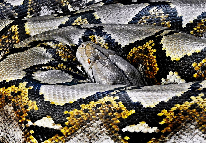 3 Advanced Python Features You Should Know