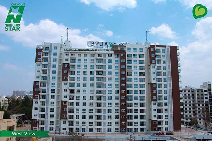 asset northern star review