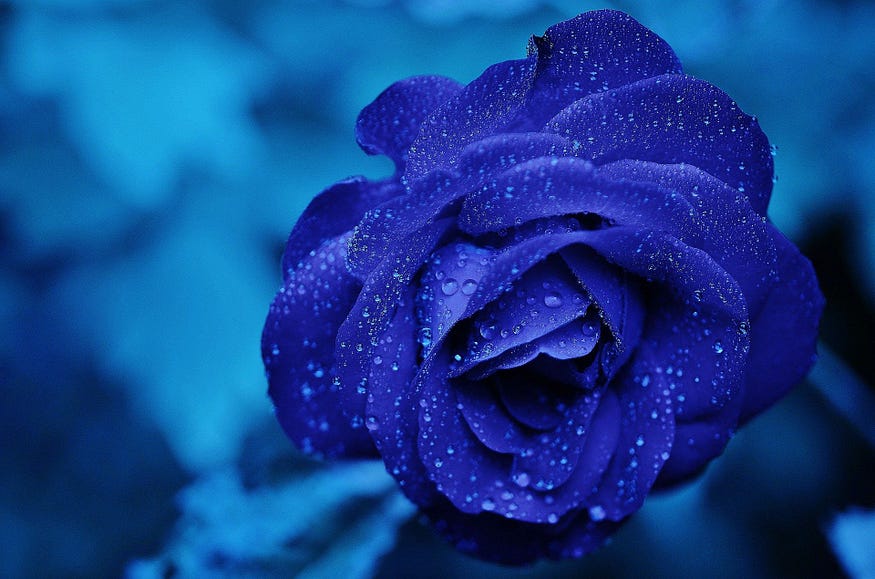 8 Quotes About Love That Will Melt Your Heart And Delight Your Soul