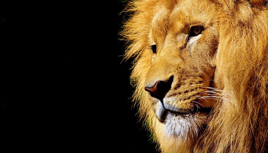 courage