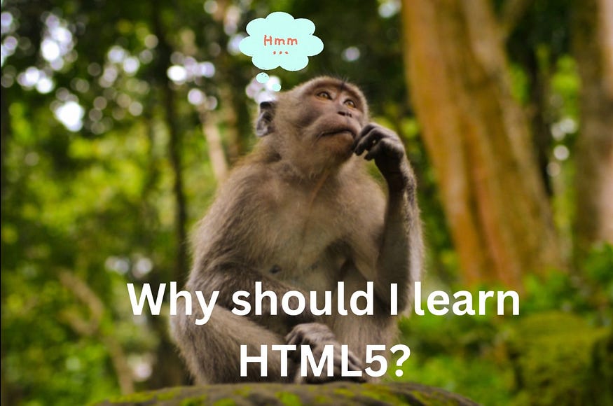 Image of a monkey thinking Why should I learn HTML5?