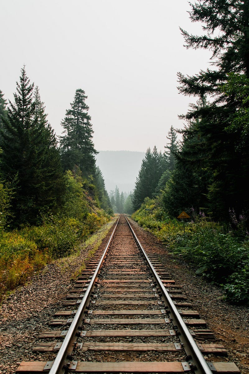 How To Actually Make Parallel Lines Intersect — A photo of serene looking train tracks with greenery on either side. Although the rails are parallel to each other, they seem to converge at the horizon to meet each other.