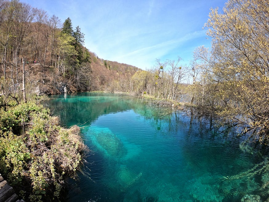 Image shows a beautiful blue lake with very clear water surrounded by trees.