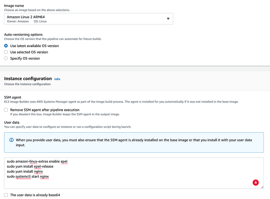 Enter User Data to install nginx webserver