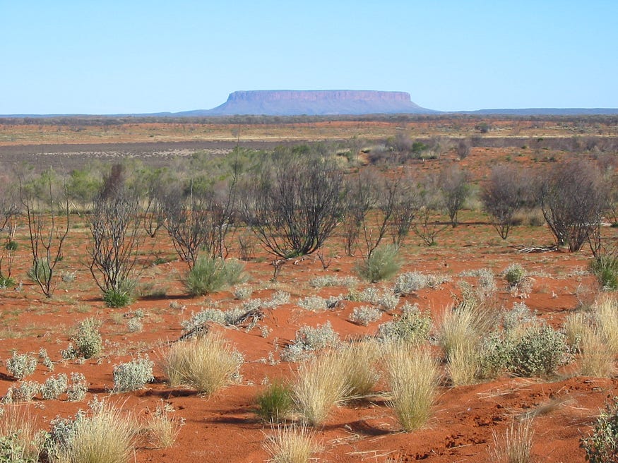 How To Build Systems Where The Rich DON’T Get Richer — An image of the Australian outback, where the land looks flat and arid, red in colour. However, there seem to be various shrubs growing and flourishing in this seemingly harsh environment.