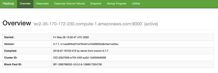 Complete guide to install Apache Hadoop 1