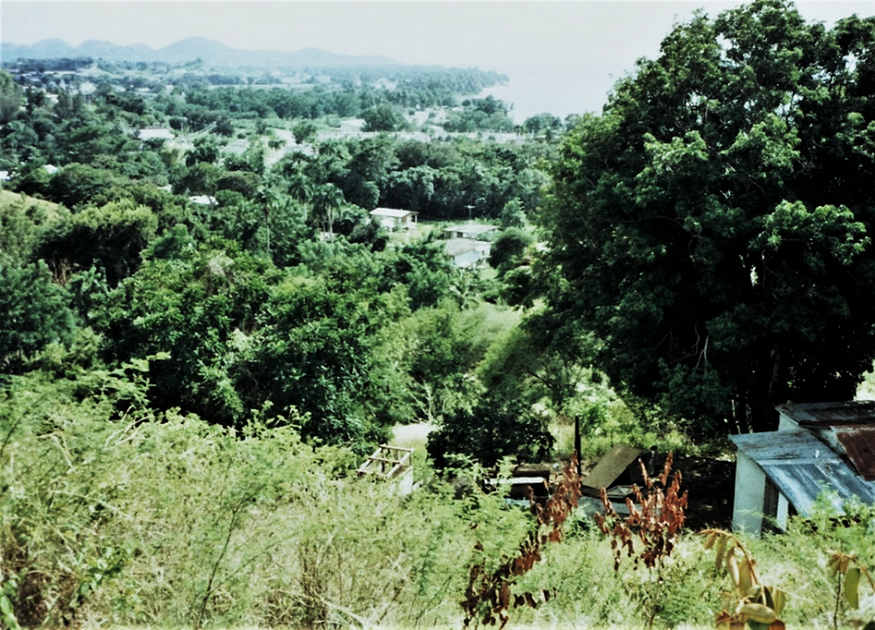 the view from our property.