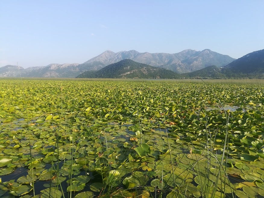 Vir Pazar İşkodra Gölü
