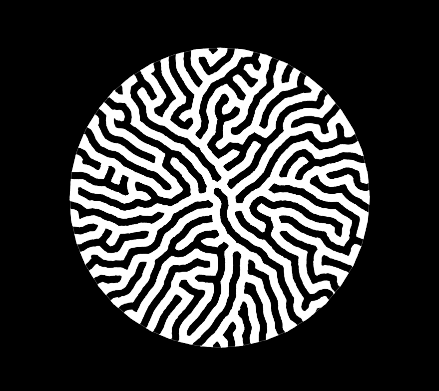 Exploring 2D differential growth with JavaScript by Jason b Medium