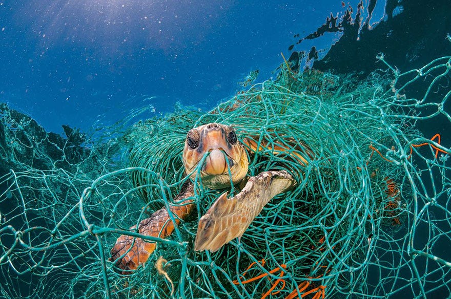 海書 六月份 國家地理 雜誌 要塑膠 還是要地球 你看到的海洋垃圾 只是冰山一角 By 顏寧 Medium