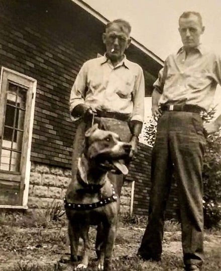 bob wallace dogs