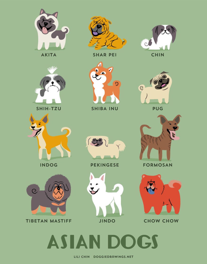 where do dogs come from