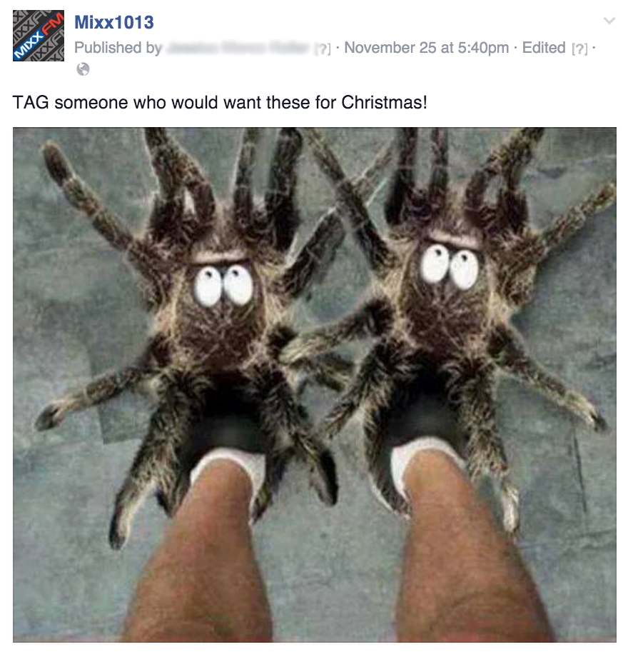 spider slippers