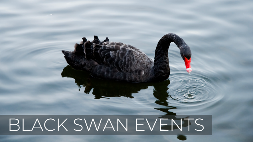 Black Swan Events, Hindsight Reliability Adam | Medium