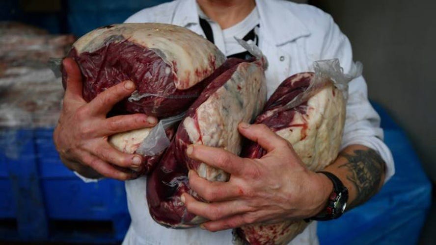 Sonhar Com Carne Podre Cheia De Bicho