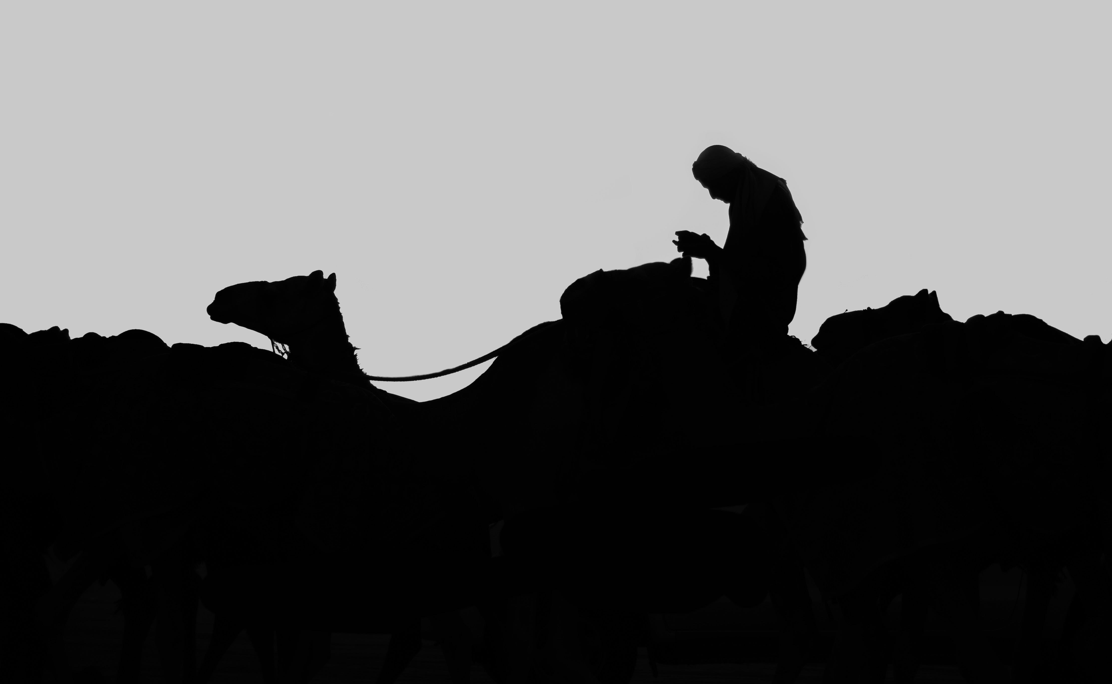 What Are The Seven Pillars Of Wisdom Lessons From History - 