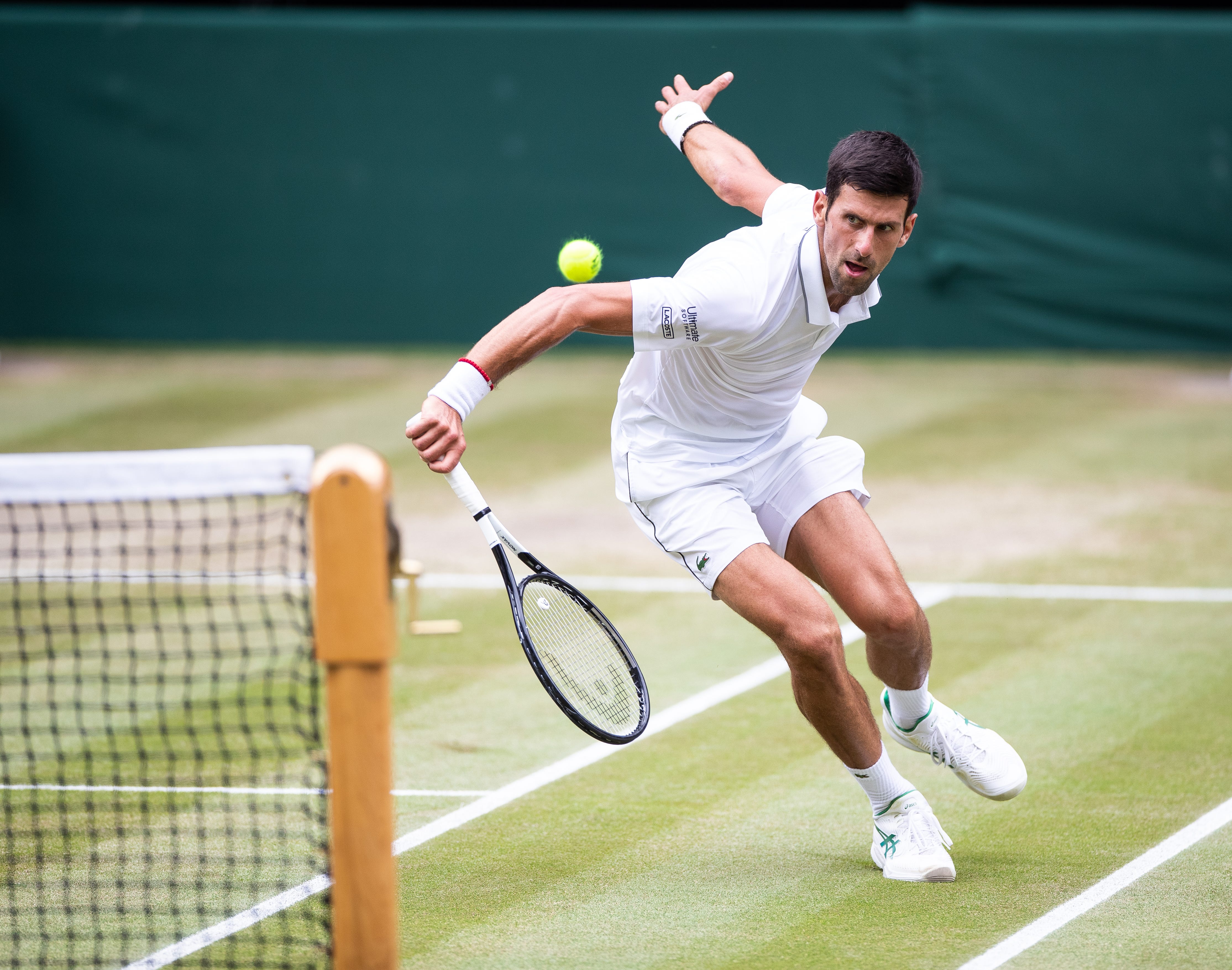 Novak Djokovic Used A.I. to Train for Wimbledon | by Amanda Loudin | OneZero