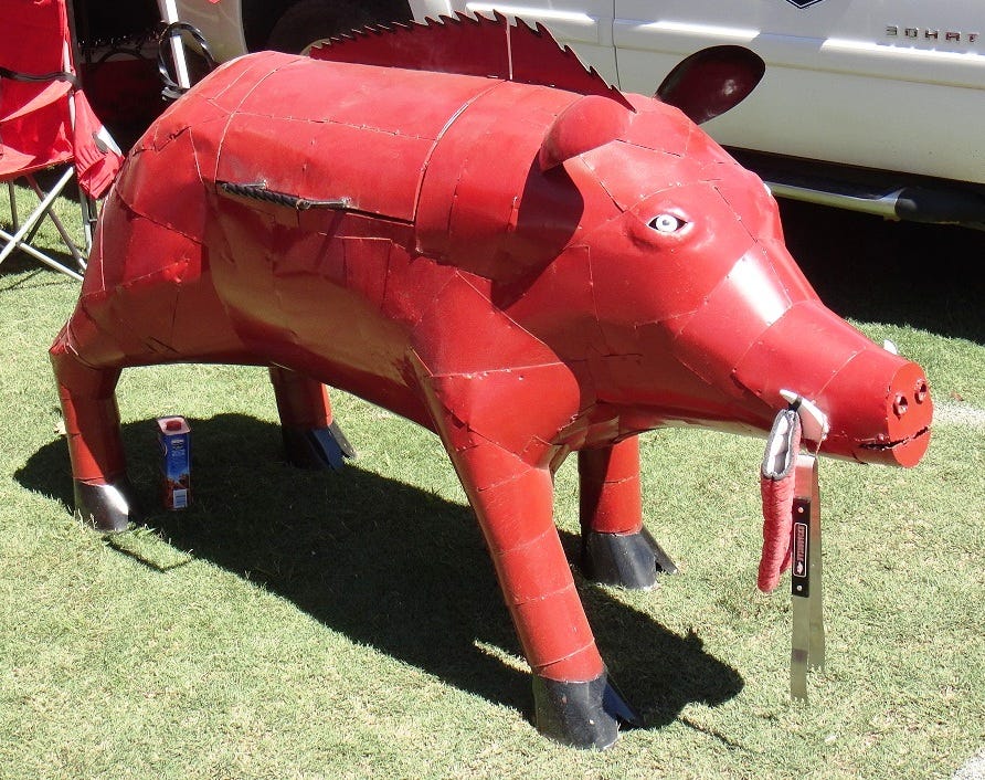 sooey pig call