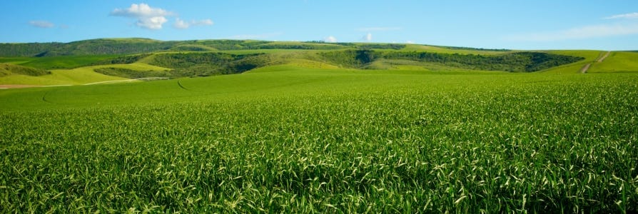 balance-funds-landmark-class-action-proceedings-for-farmers-against