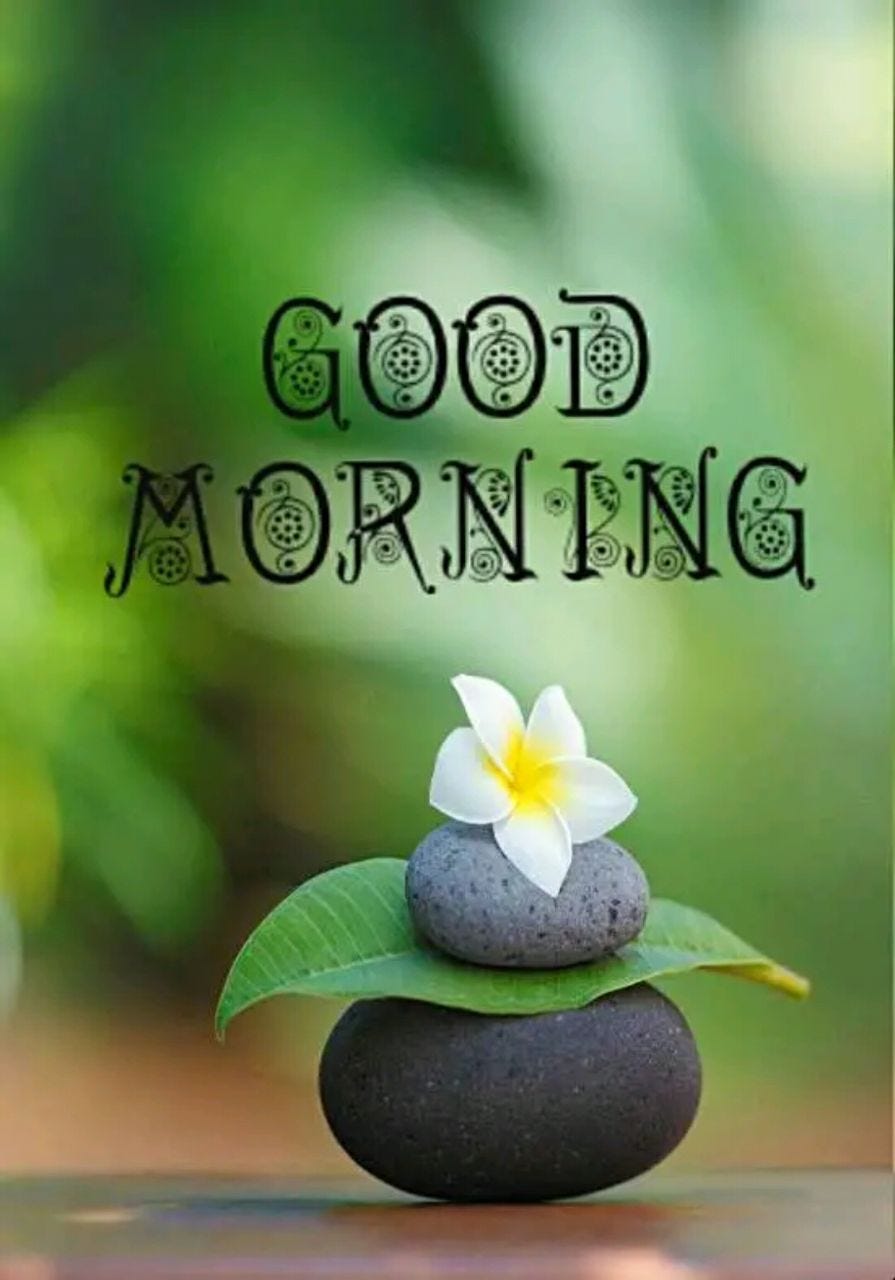 Latest 5000 + Good Morning Images Download Hd Good Morning Images