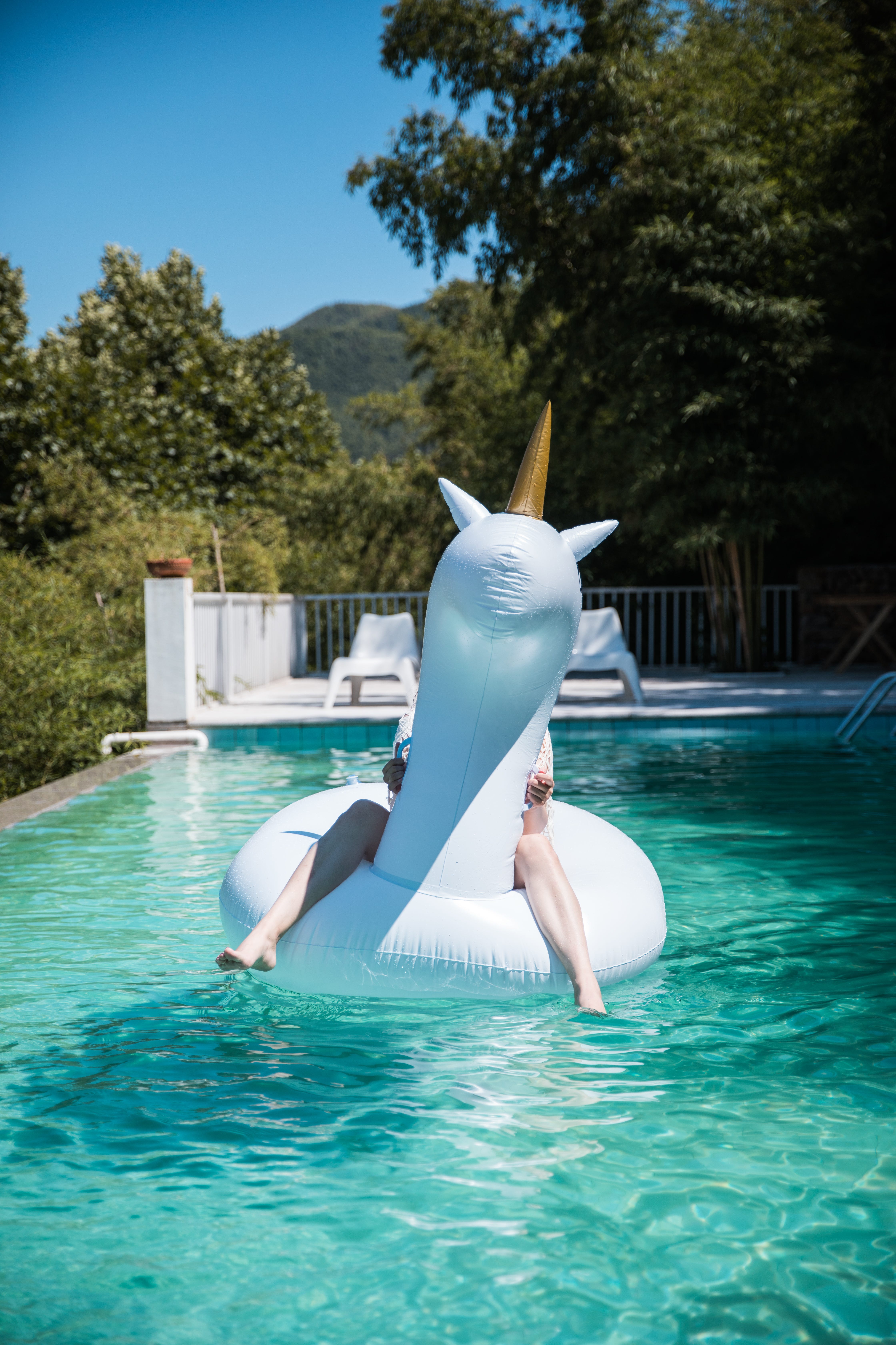 sun pleasure unicorn