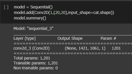 Visualizing Kernels and Feature Maps in Deep Learning Model (CNN) | by ...