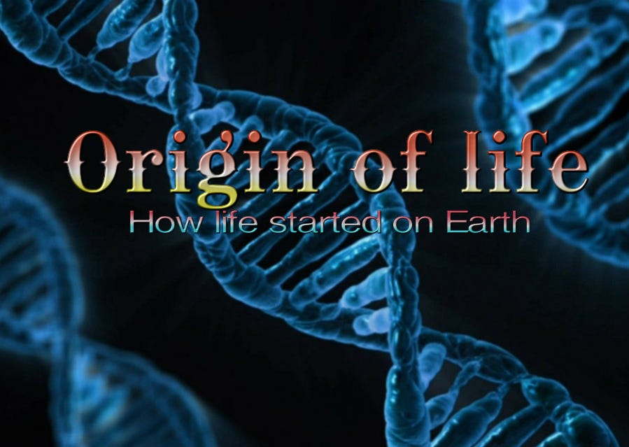 essay about the origin of life