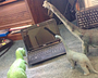The Old Coder