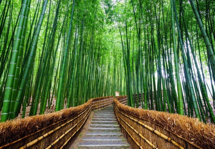 日本旅遊 京都嵐山 竹林之道 渡月橋一日遊 景點 交通 美食全攻略 By Kkday Hong Kong Medium