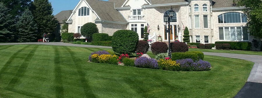 best lawn maintenance