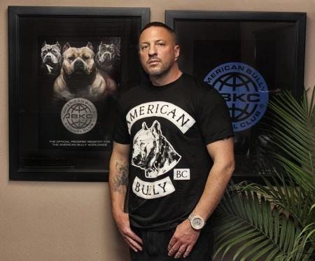 dave wilson american bully