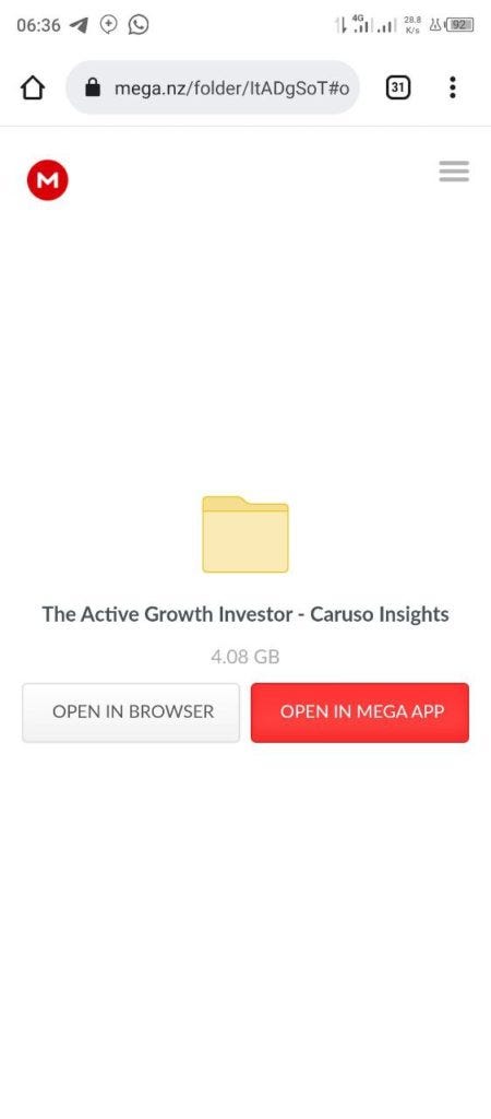 The Active Growth Investor - Caruso Insights