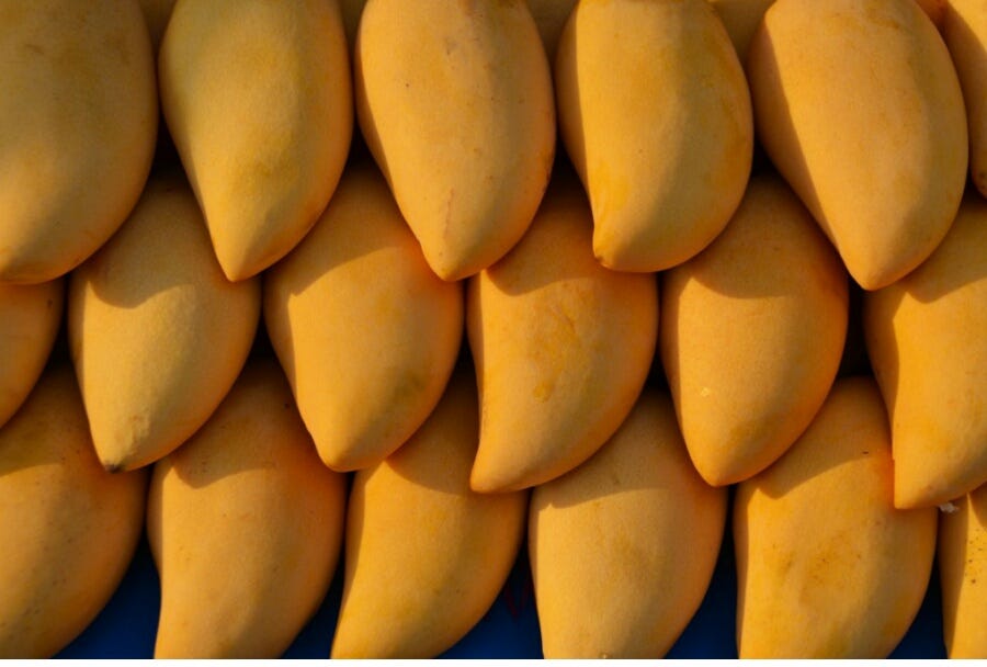 Why Mangoes Are Good For You 5 Powerful Health Benefits by Akanksha