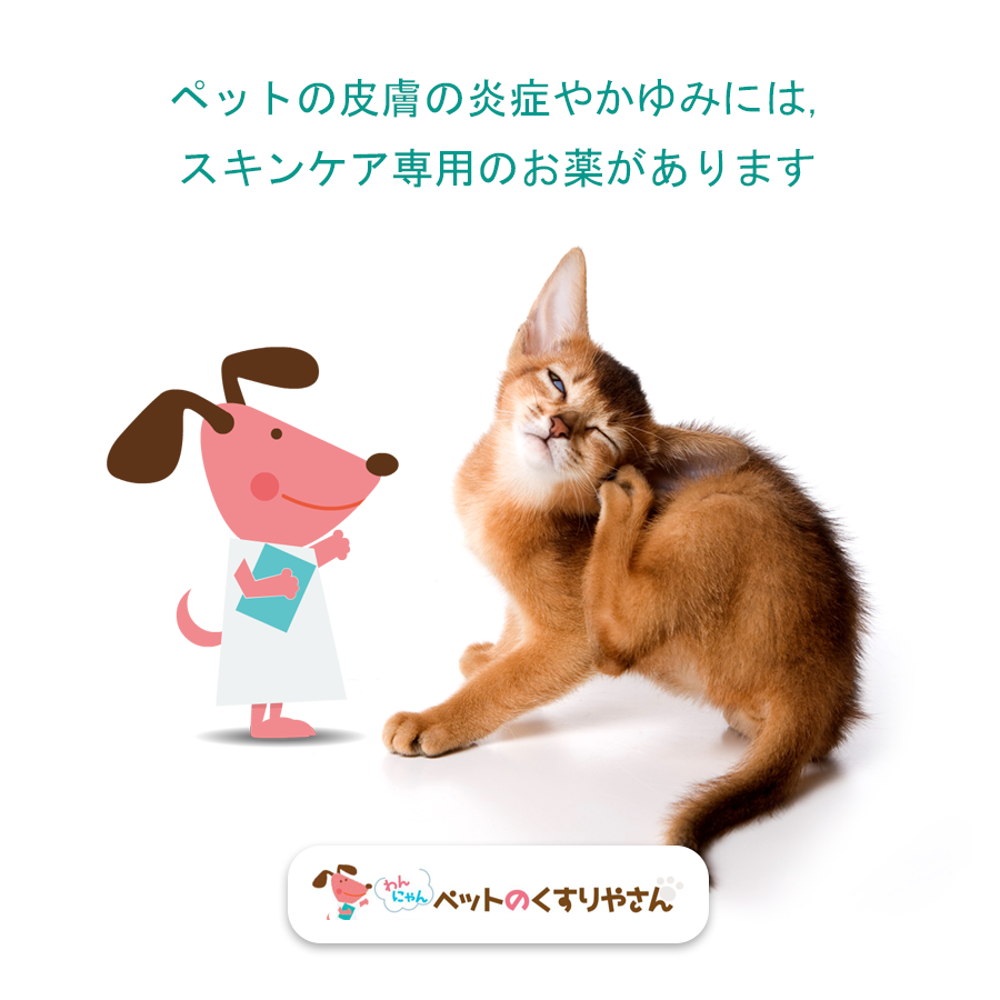 ペットの皮膚の炎症やかゆみには、 スキンケア専用のお薬があります