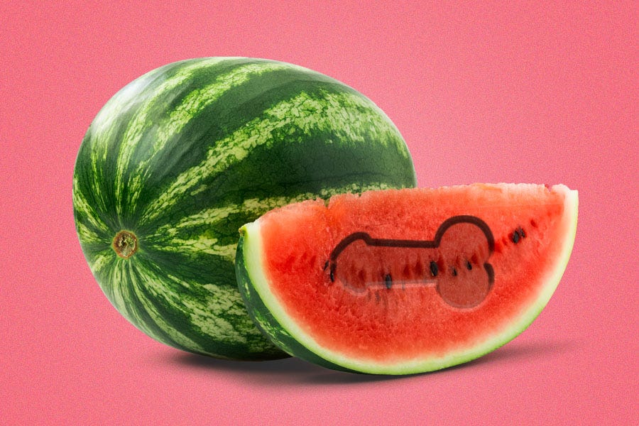Can Big Melons Give You A Boner Specifically Watermelons Which Might By Andrew Fiouzi Mel Magazine Medium Can Big Melons Give You A Boner Specifically Watermelons Which Might By Andrew Fiouzi Mel Magazine Medium