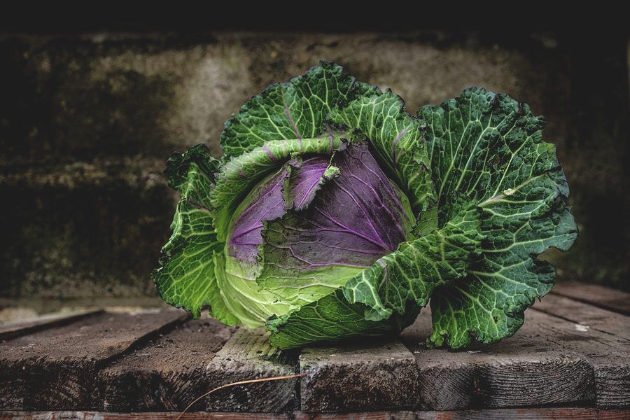 13 Reasons Why Cabbage Rules. This nutritious little ball of joy will
