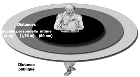 Sur Edward T Hall Et La Dimension Cachee By Meven Marchand Guidevay Medium