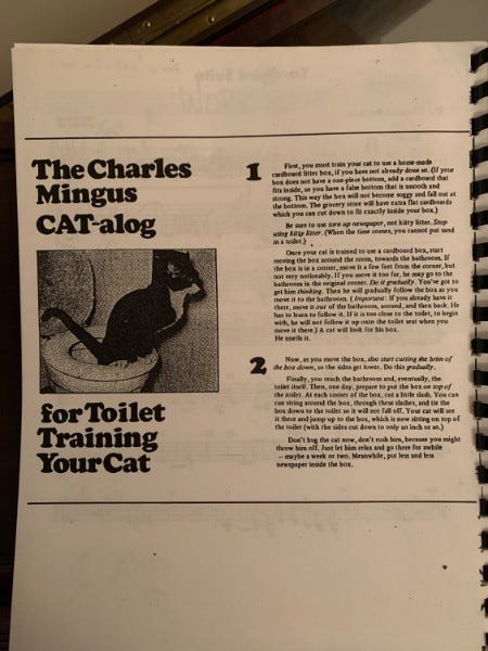Mingus Cat Training 2025